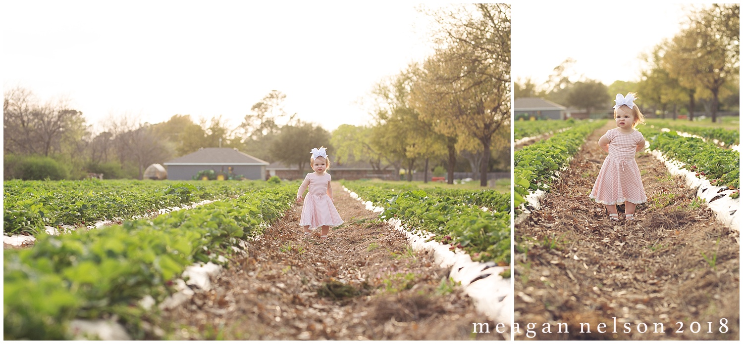strawberry_patch_session_fort_worth_photographer46.jpg