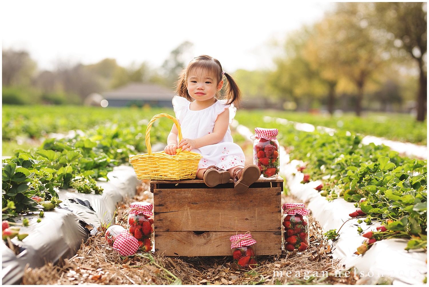 strawberry_patch_session_fort_worth_photographer52.jpg