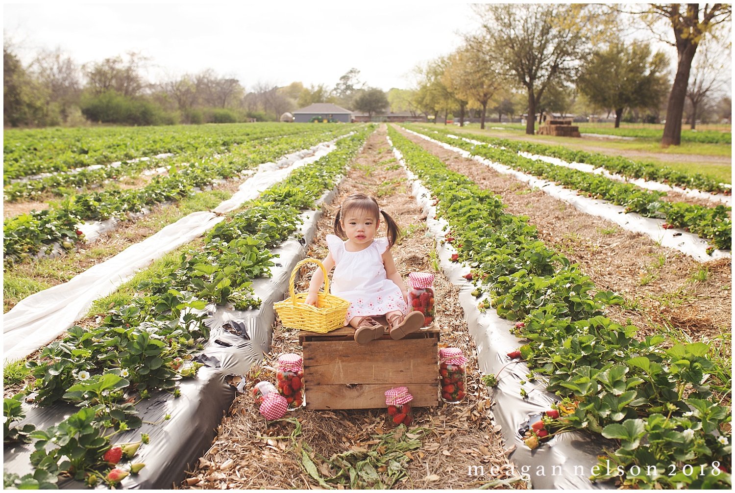 strawberry_patch_session_fort_worth_photographer54.jpg