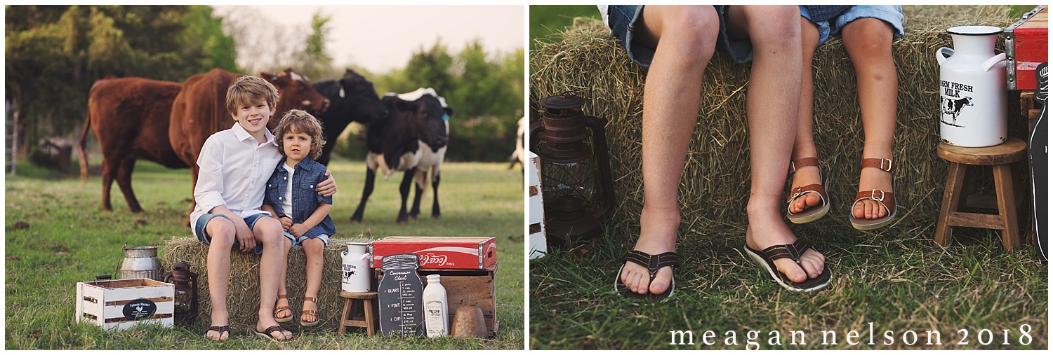fort_worth_family_photographer_cow_mini_sessions001.jpg