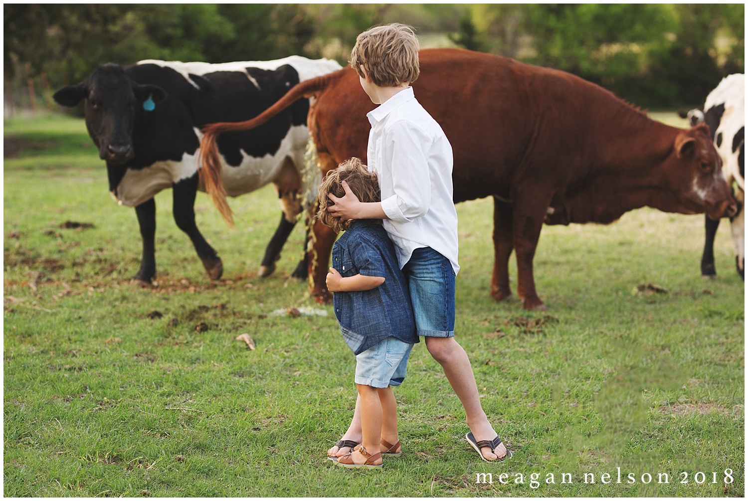 fort_worth_family_photographer_cow_mini_sessions005.jpg
