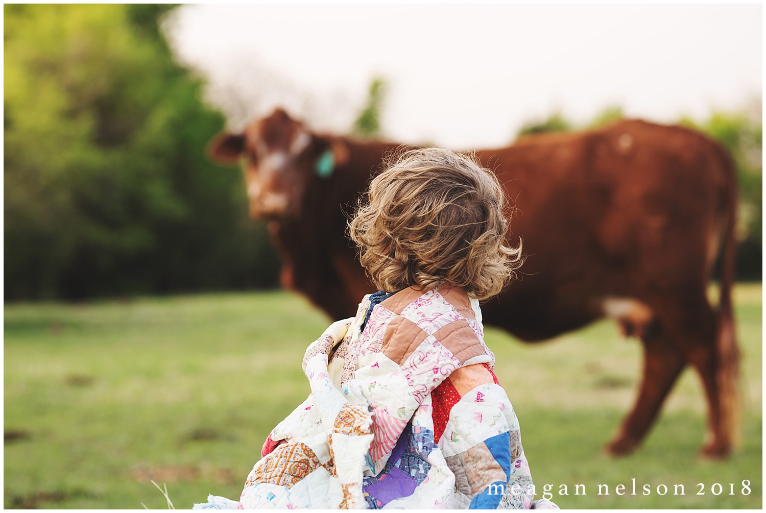 fort_worth_family_photographer_cow_mini_sessions006.jpg