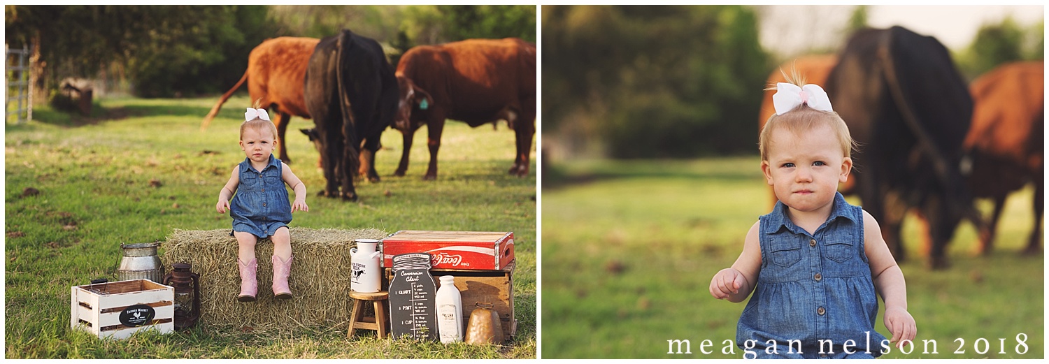 fort_worth_family_photographer_cow_mini_sessions007.jpg