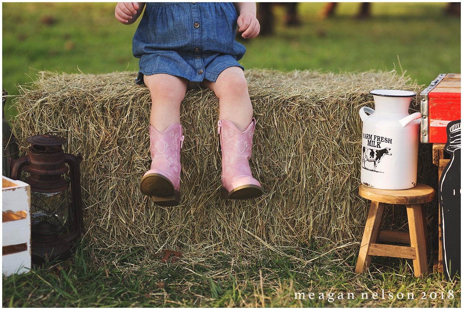 fort_worth_family_photographer_cow_mini_sessions008.jpg