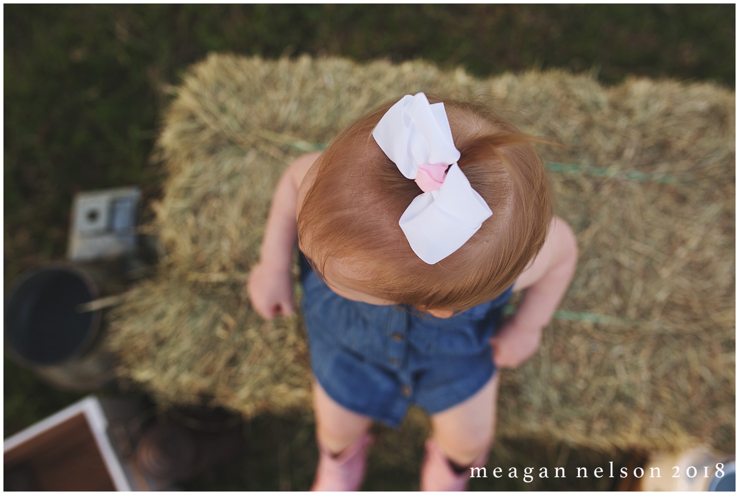 fort_worth_family_photographer_cow_mini_sessions010.jpg