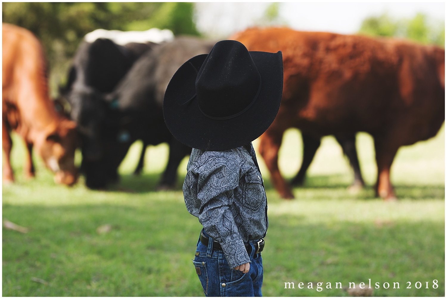 fort_worth_family_photographer_cow_mini_sessions014.jpg