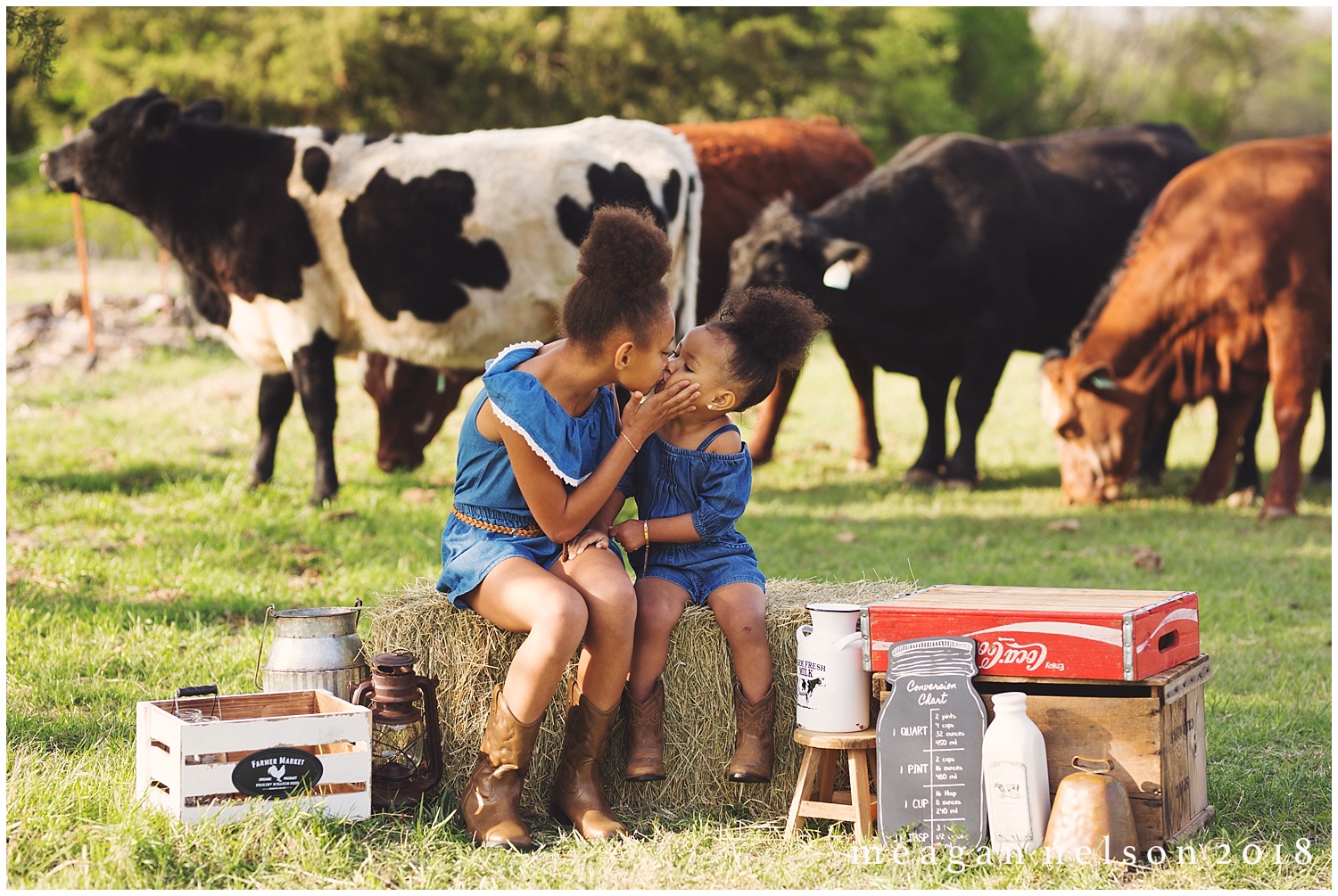 fort_worth_family_photographer_cow_mini_sessions016.jpg