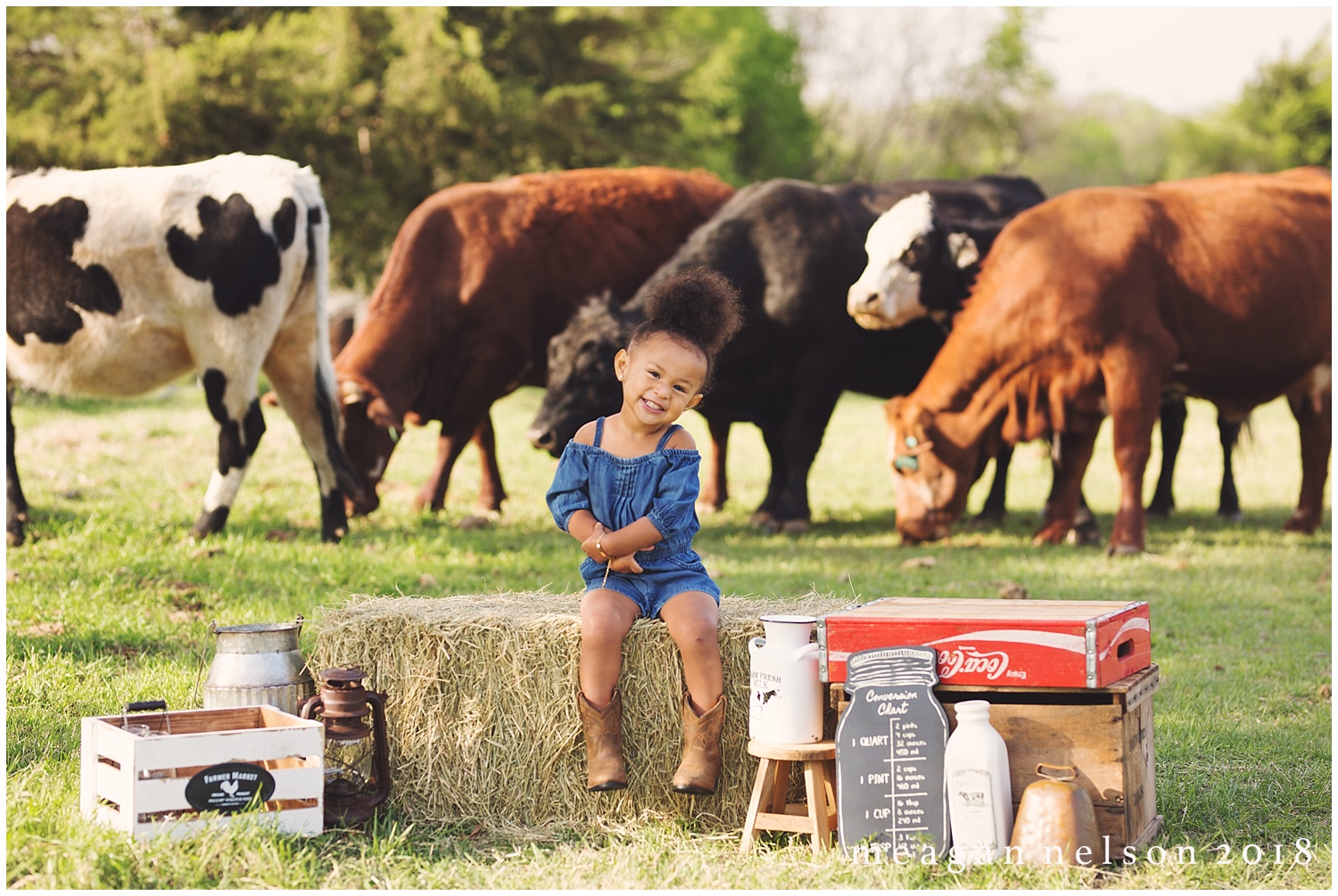 fort_worth_family_photographer_cow_mini_sessions017.jpg