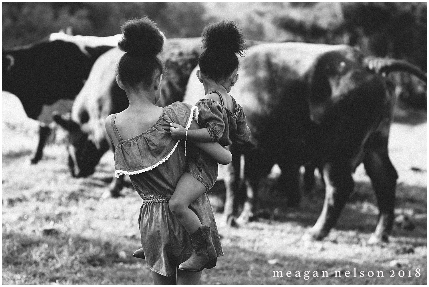 fort_worth_family_photographer_cow_mini_sessions018.jpg