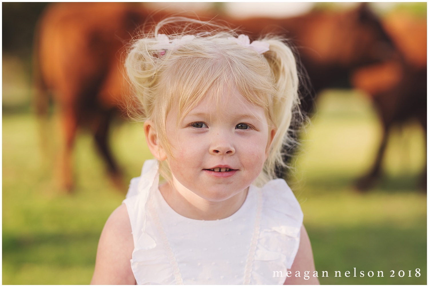 fort_worth_family_photographer_cow_mini_sessions024.jpg