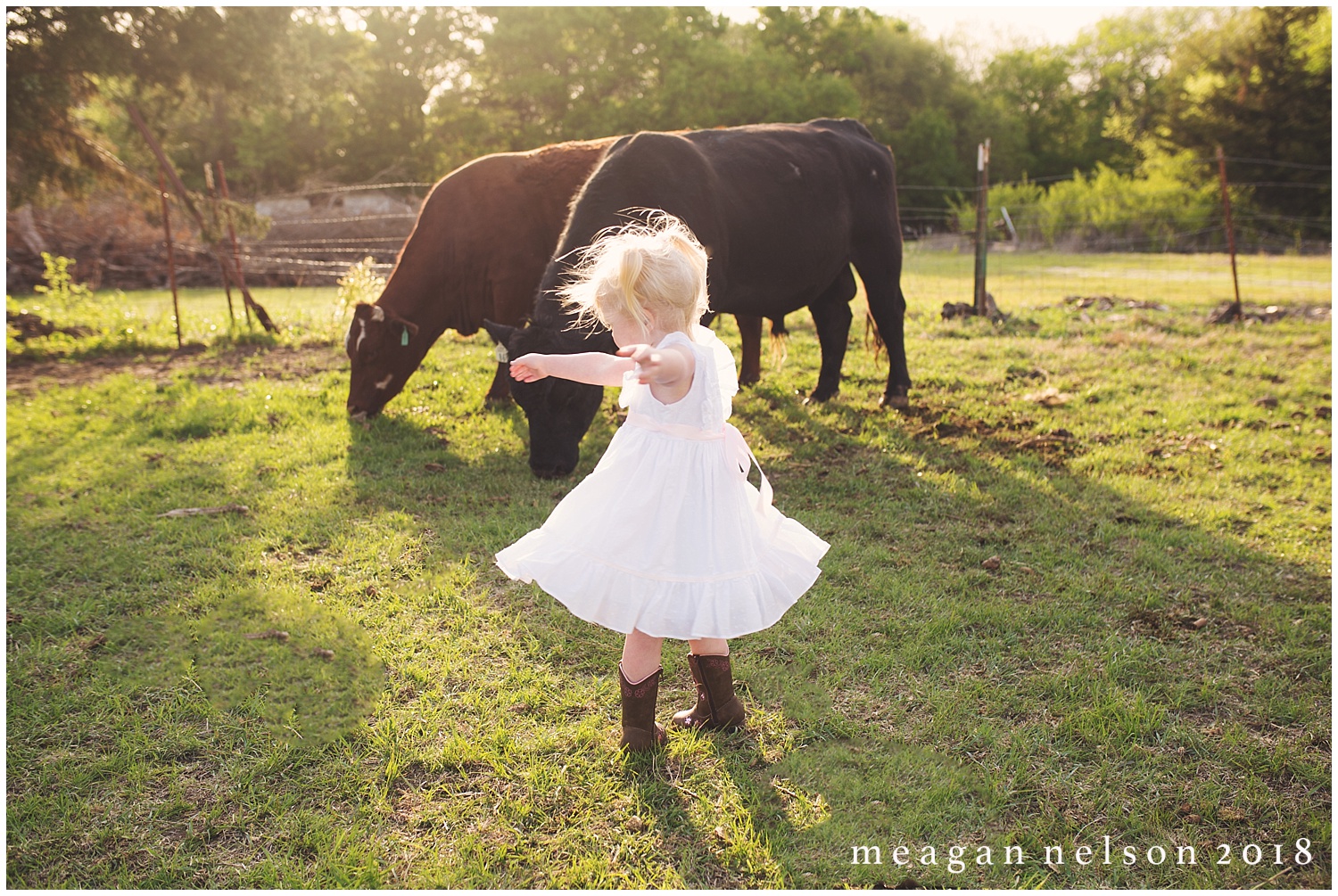 fort_worth_family_photographer_cow_mini_sessions028.jpg