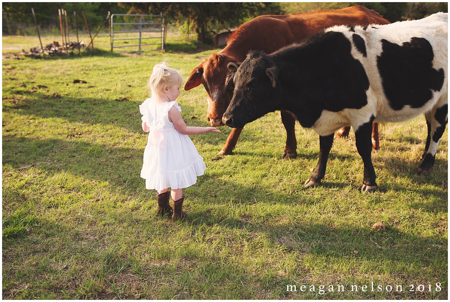 fort_worth_family_photographer_cow_mini_sessions027.jpg