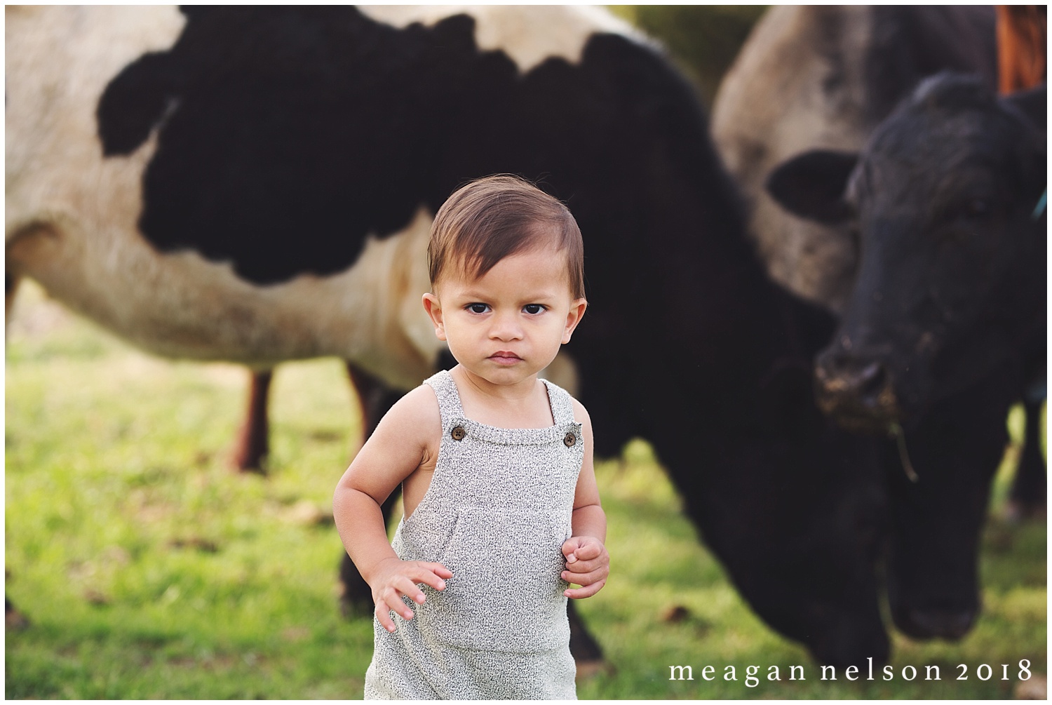 fort_worth_family_photographer_cow_mini_sessions030.jpg