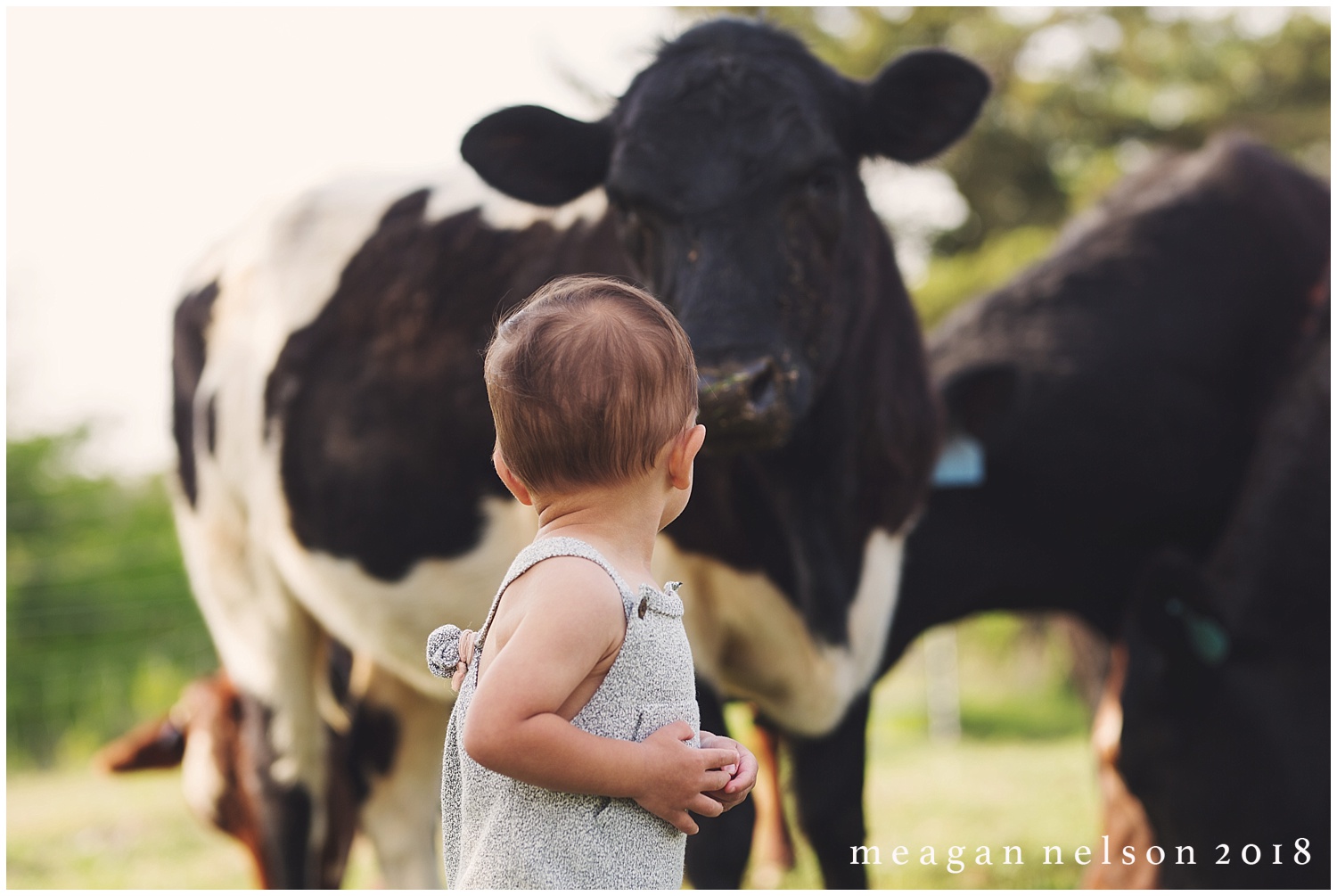 fort_worth_family_photographer_cow_mini_sessions033.jpg
