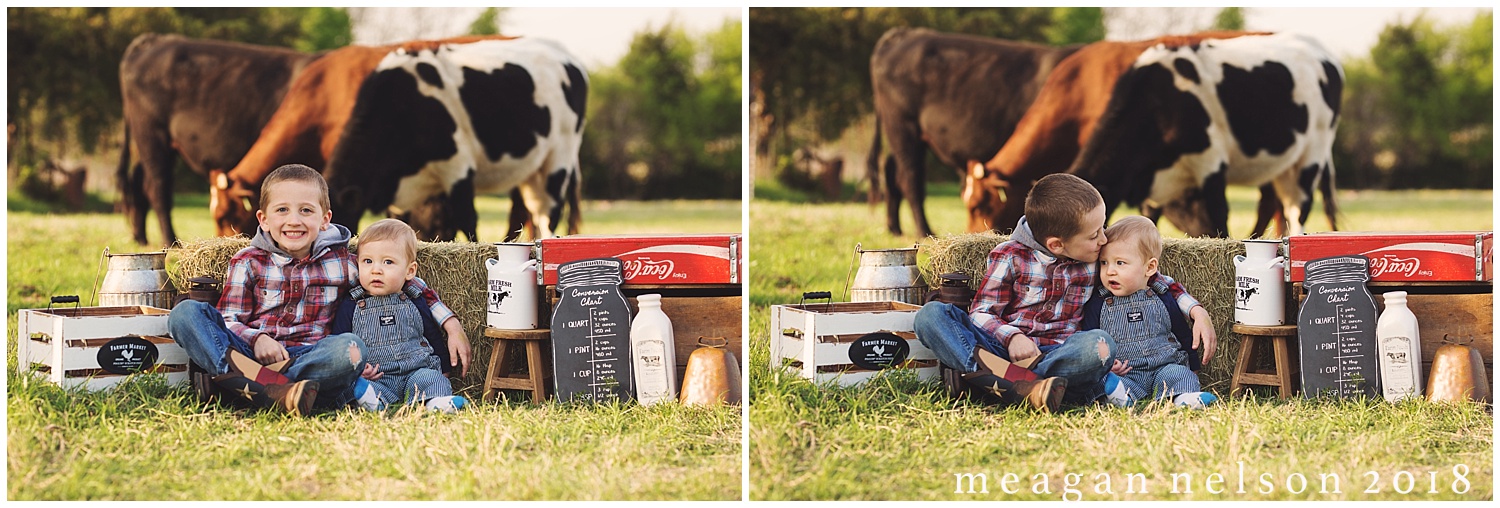 fort_worth_family_photographer_cow_mini_sessions035.jpg