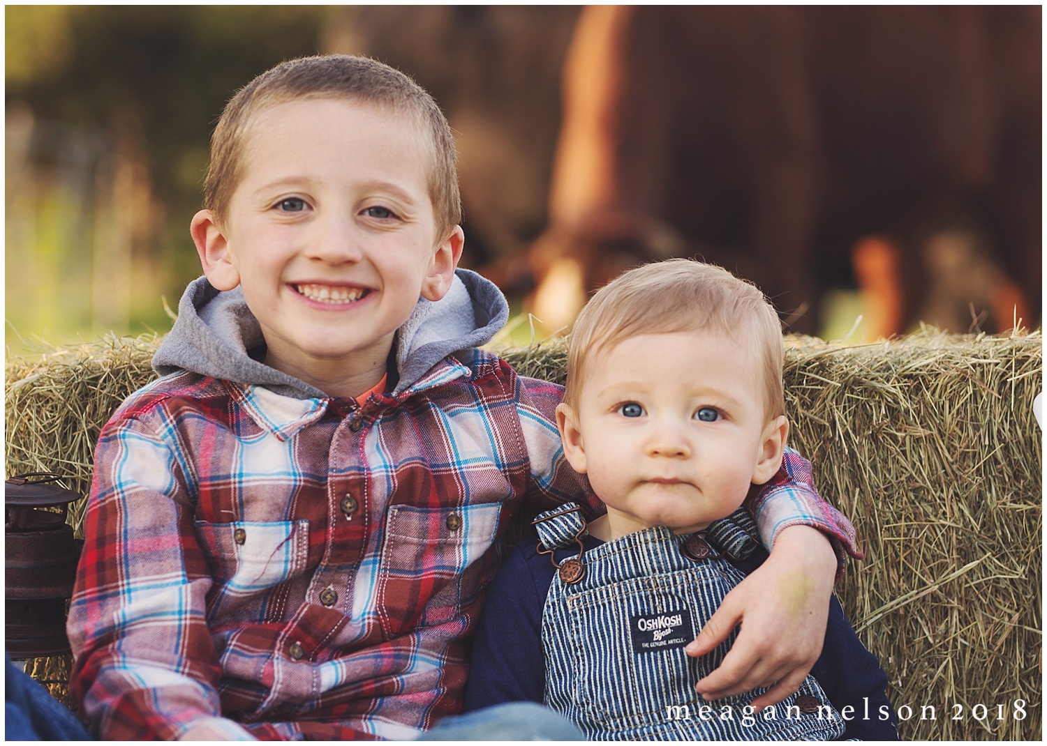 fort_worth_family_photographer_cow_mini_sessions036.jpg