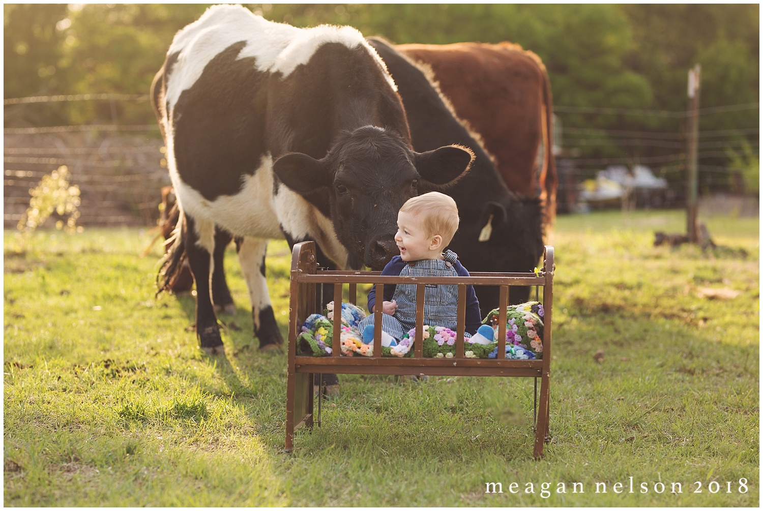 fort_worth_family_photographer_cow_mini_sessions037.jpg