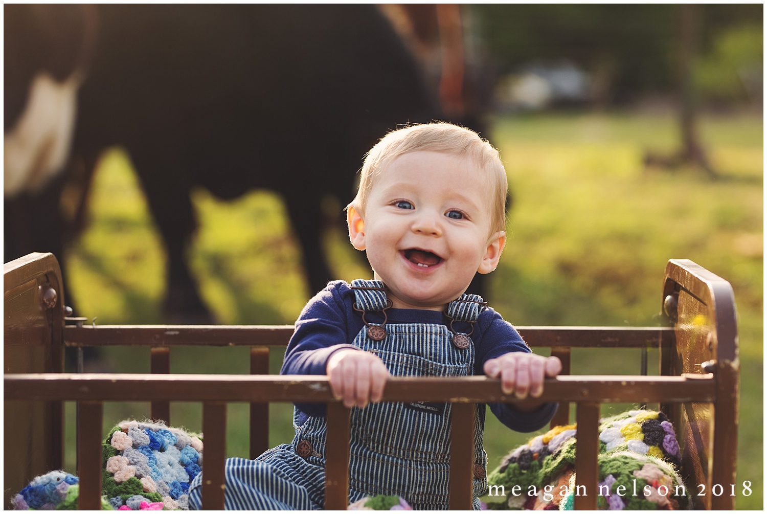 fort_worth_family_photographer_cow_mini_sessions038.jpg