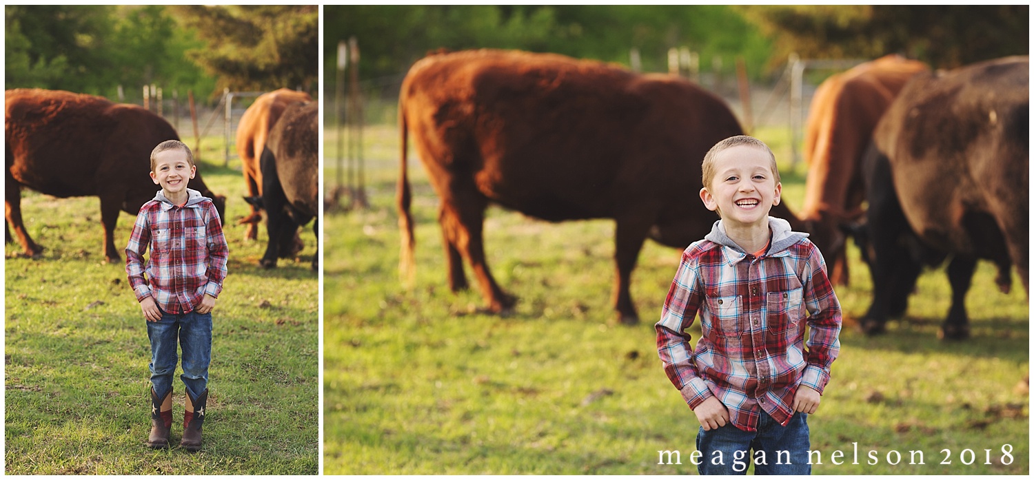 fort_worth_family_photographer_cow_mini_sessions041.jpg