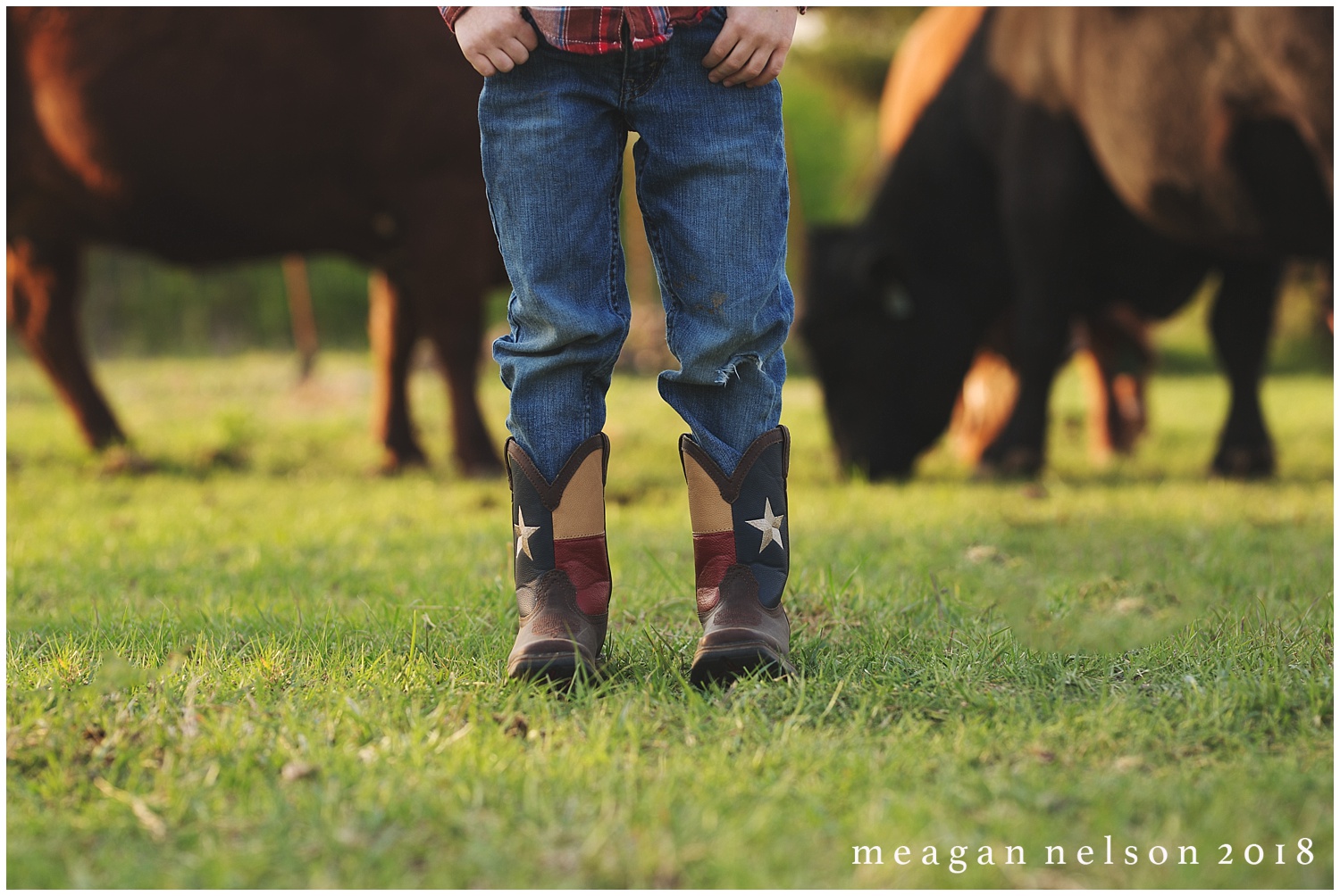 fort_worth_family_photographer_cow_mini_sessions042.jpg