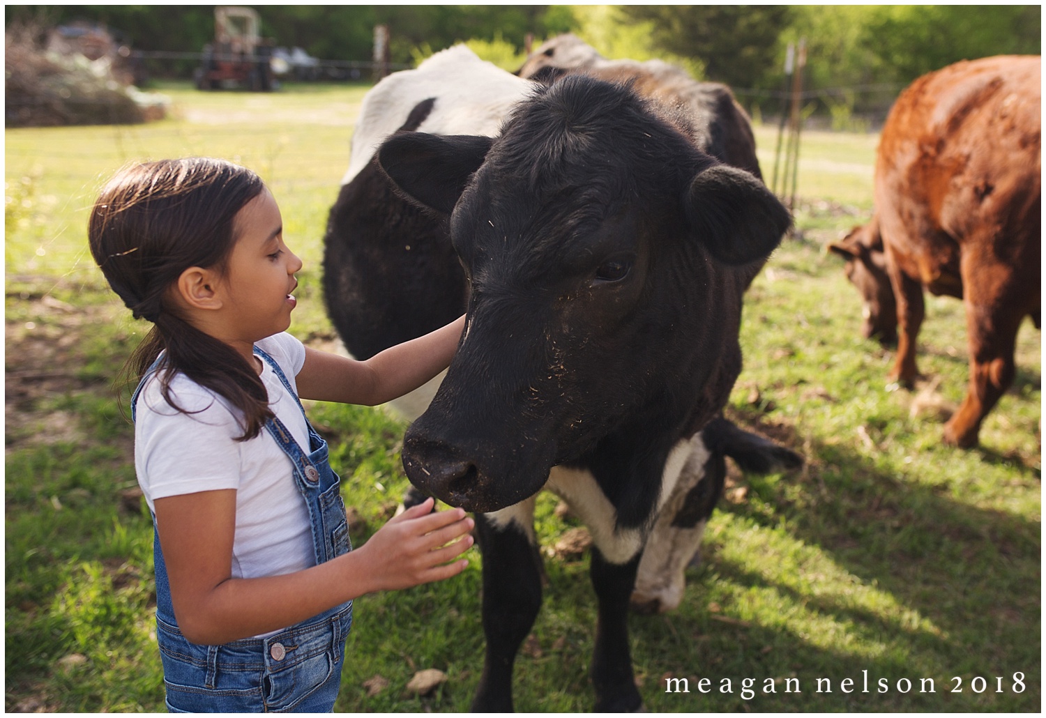 fort_worth_family_photographer_cow_mini_sessions045.jpg