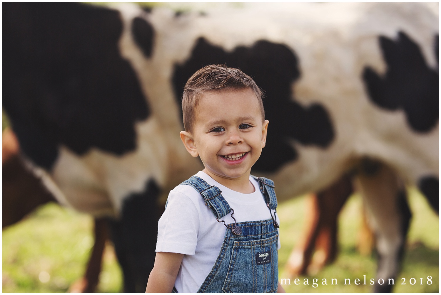 fort_worth_family_photographer_cow_mini_sessions047.jpg