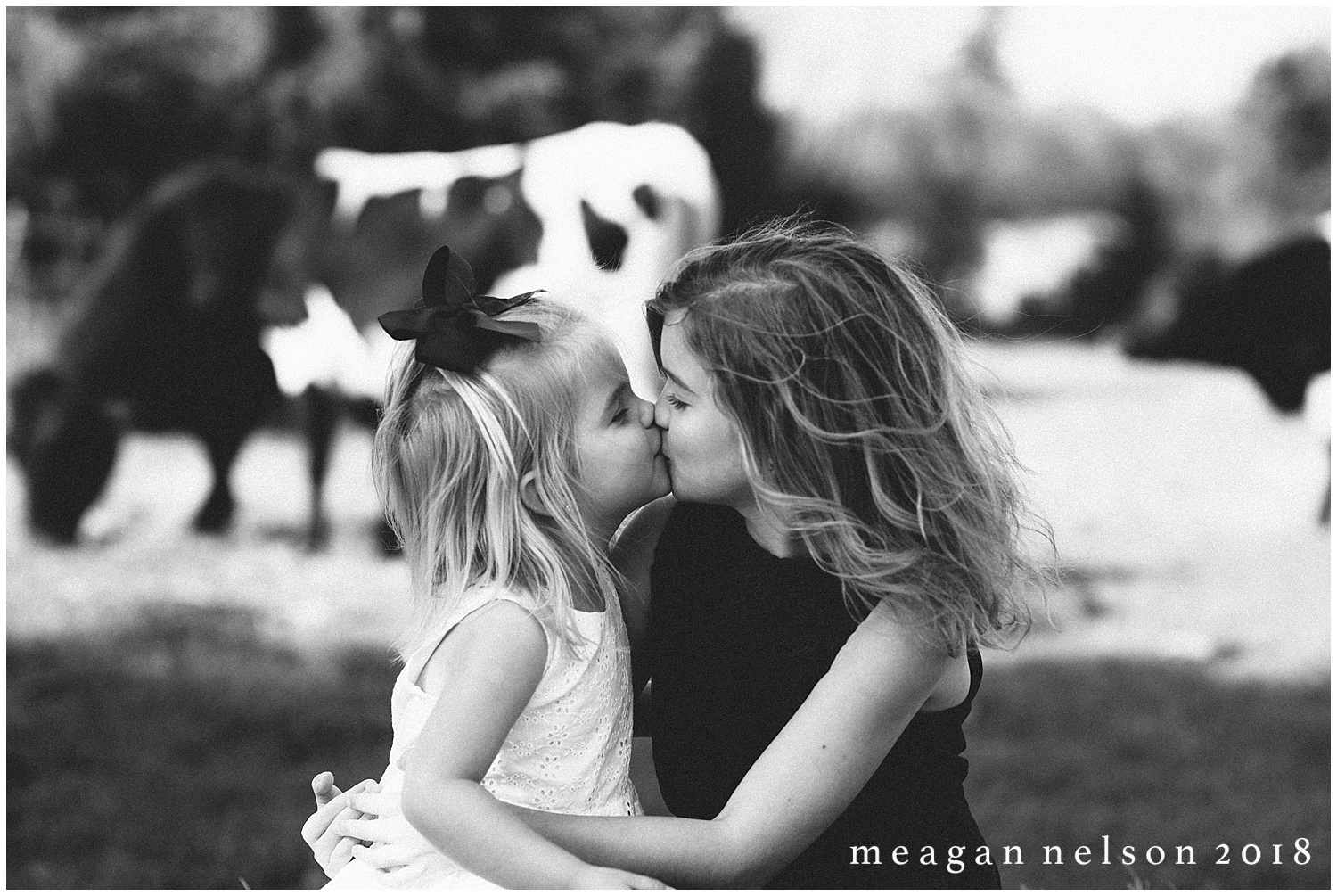 fort_worth_family_photographer_cow_mini_sessions050.jpg