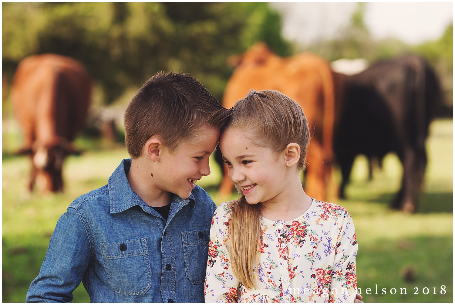 fort_worth_family_photographer_cow_mini_sessions052.jpg