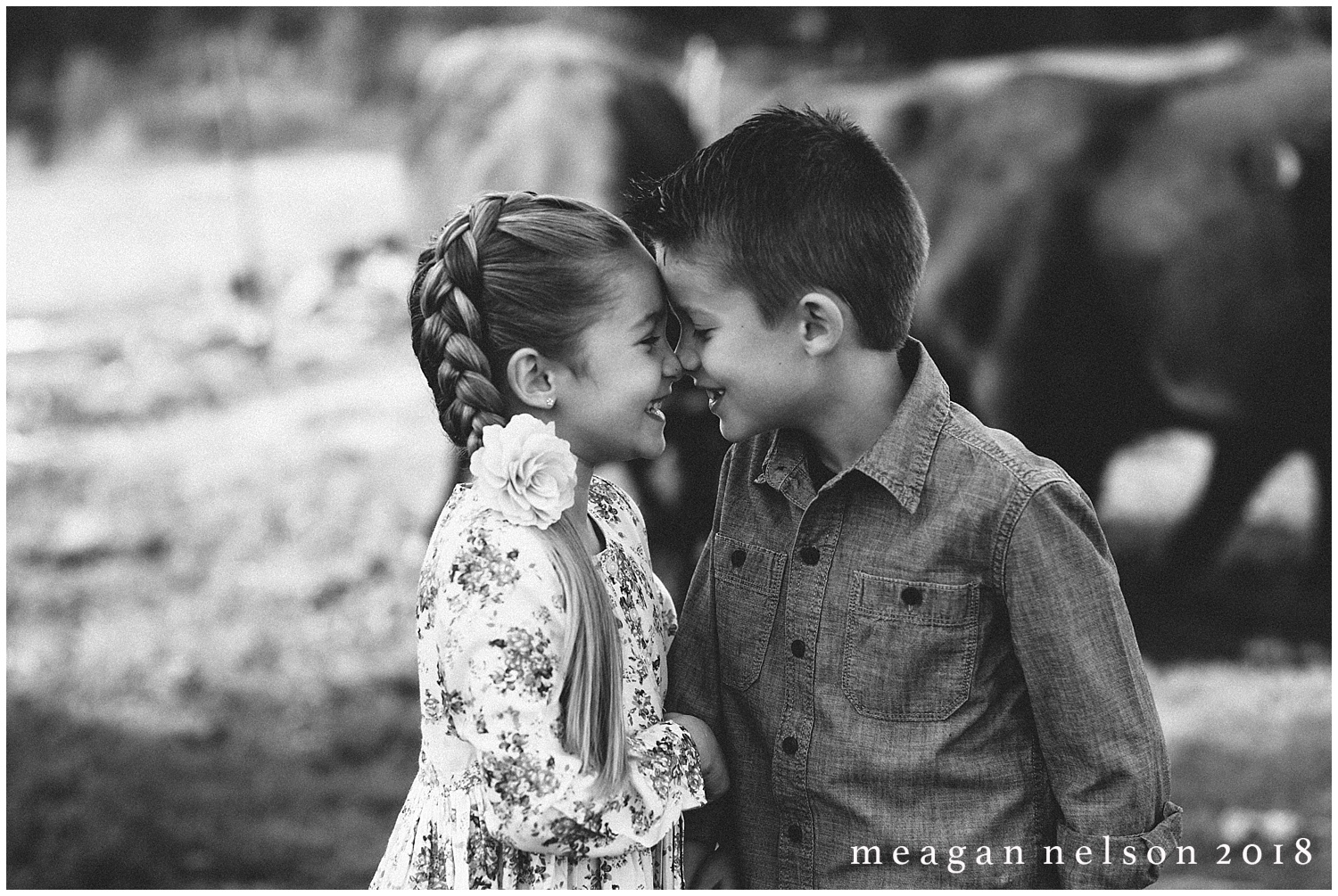 fort_worth_family_photographer_cow_mini_sessions055.jpg