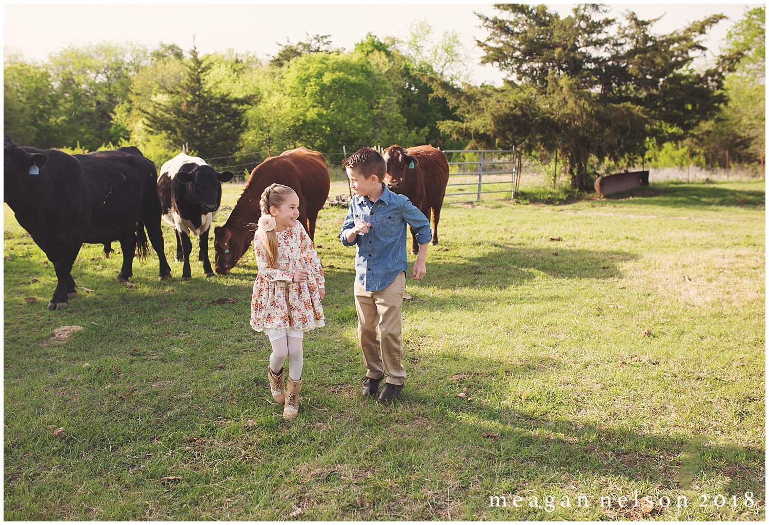 fort_worth_family_photographer_cow_mini_sessions057.jpg