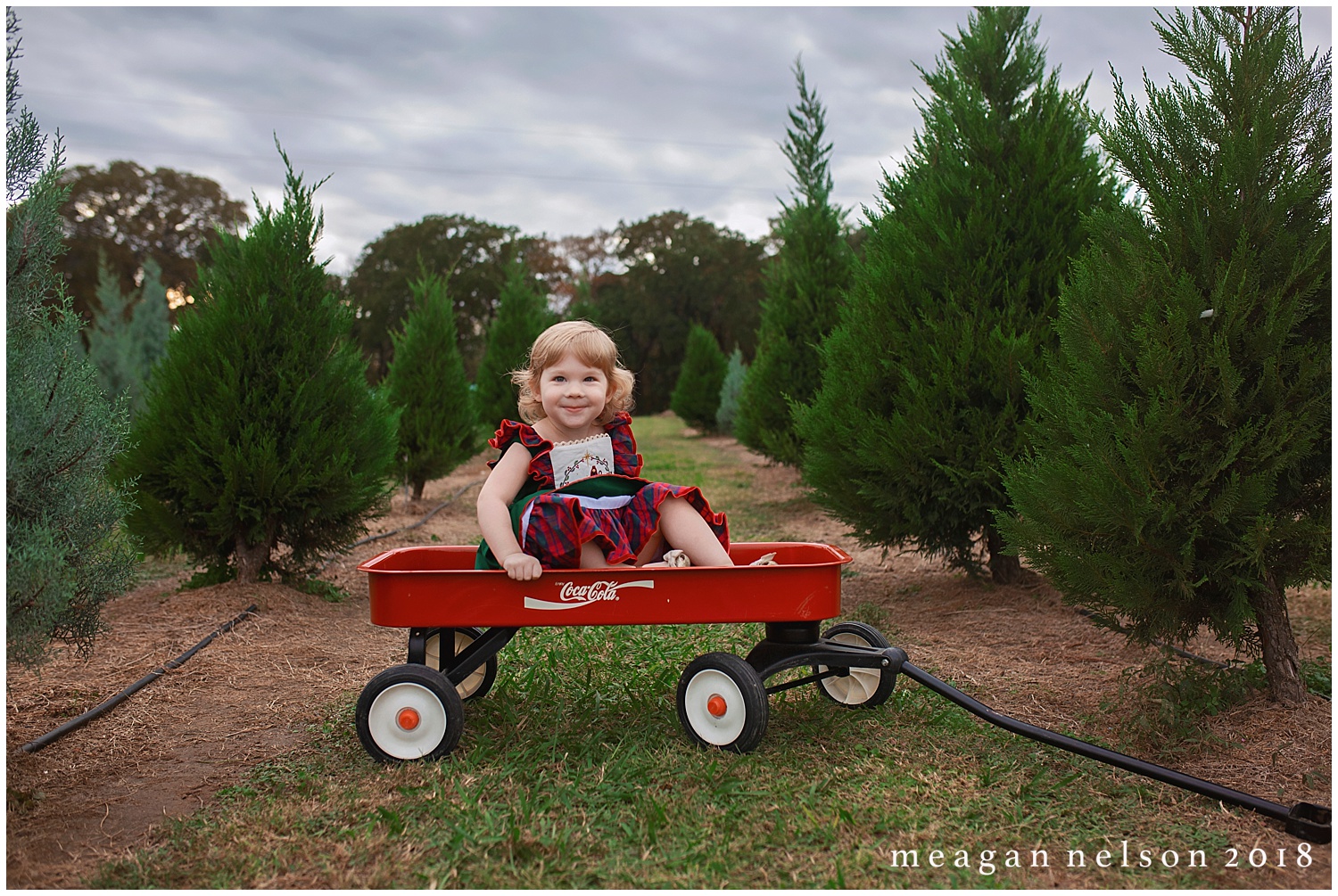 tree_farm_session_weatherford_tx_fort_worth_photographer043.jpg