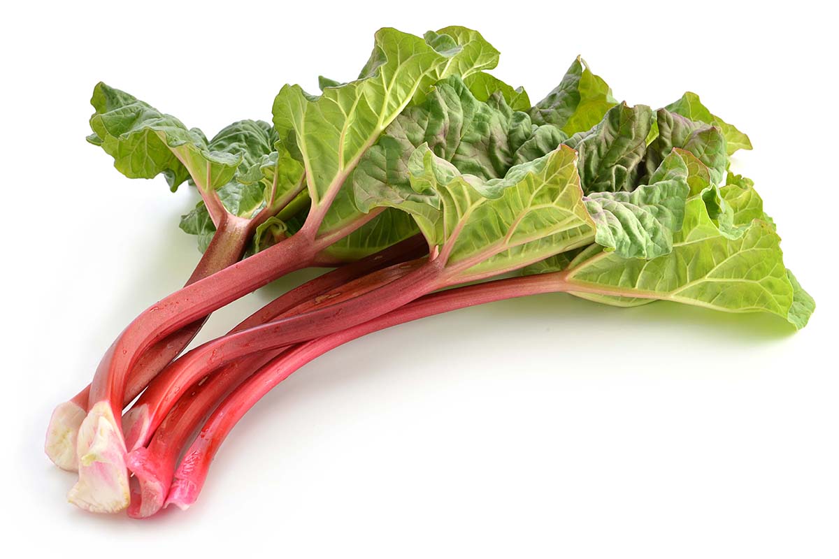 Rhubarb_full.jpg