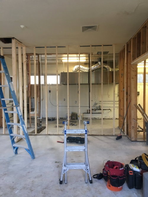Week Two - Framing creates more space in the Commercial Kitchen for small businesses to work side by side. 