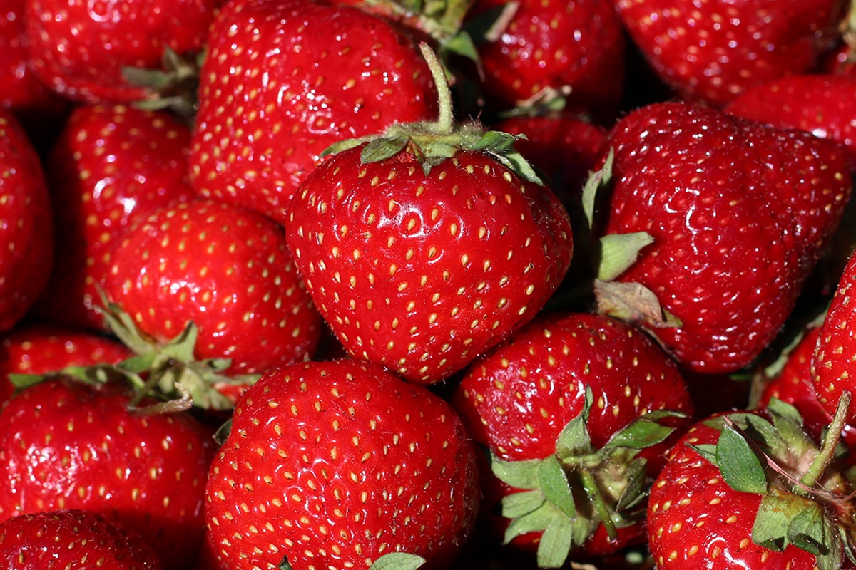 Strawberries_Web.jpg