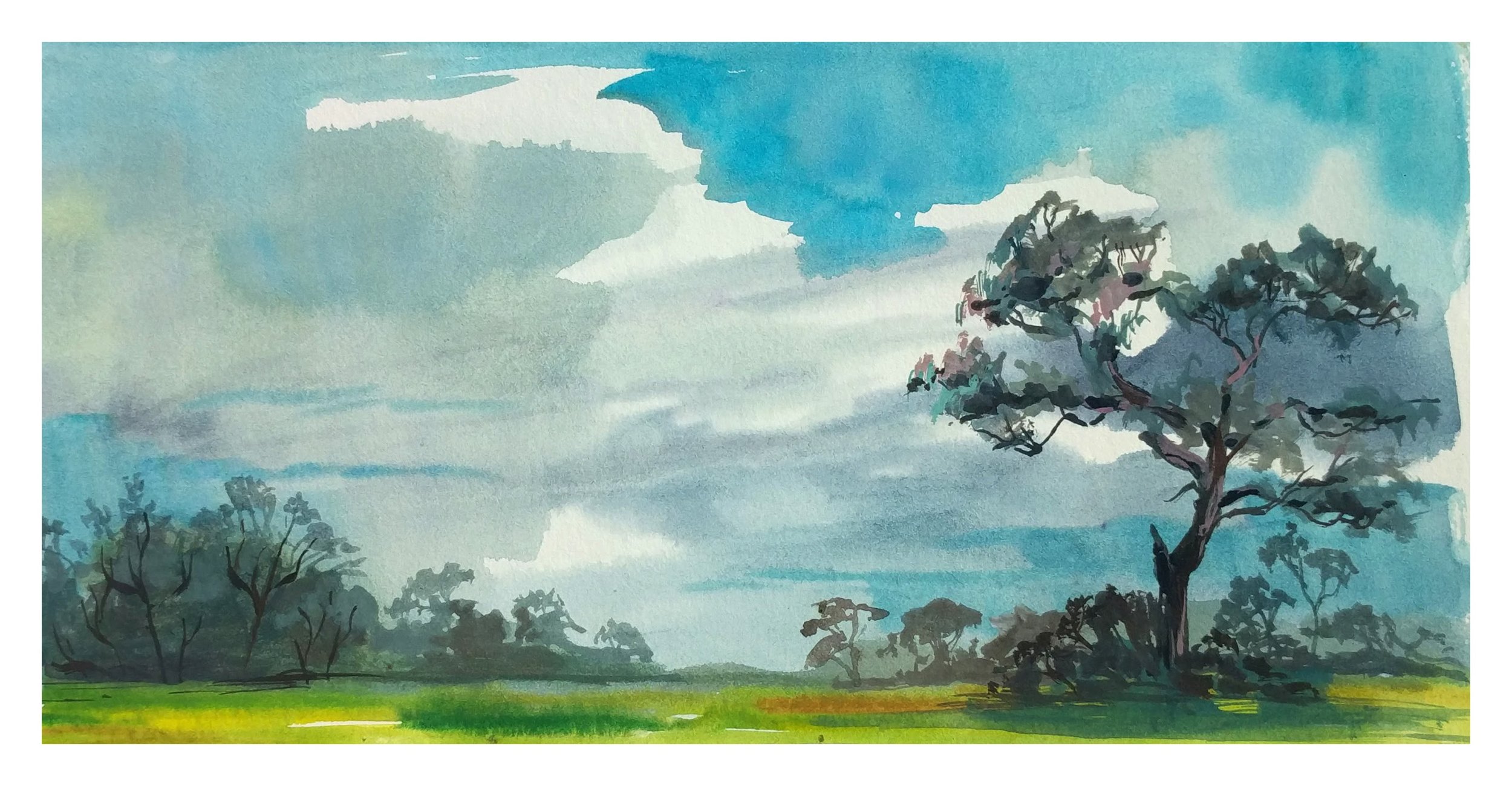 outbackThunderstorm.jpg