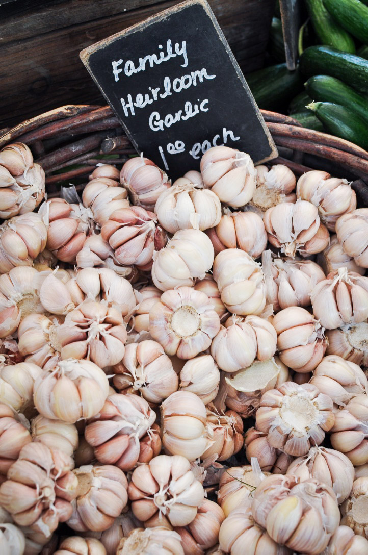 farmers_market_fall-8.jpg