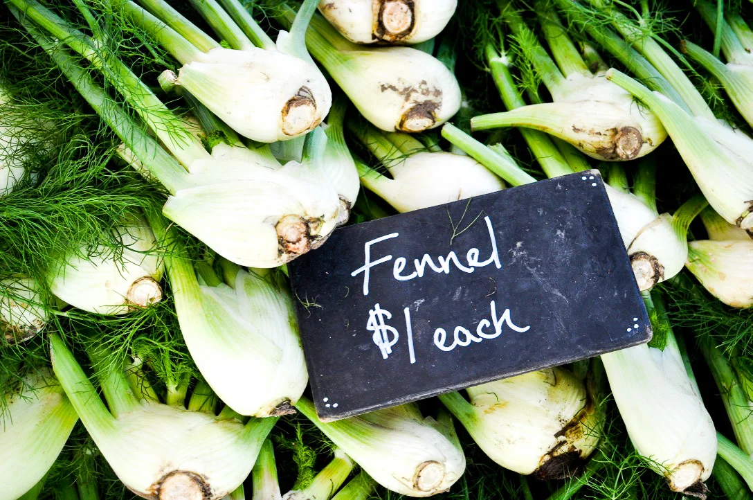 farmers_market_fall-7.jpg
