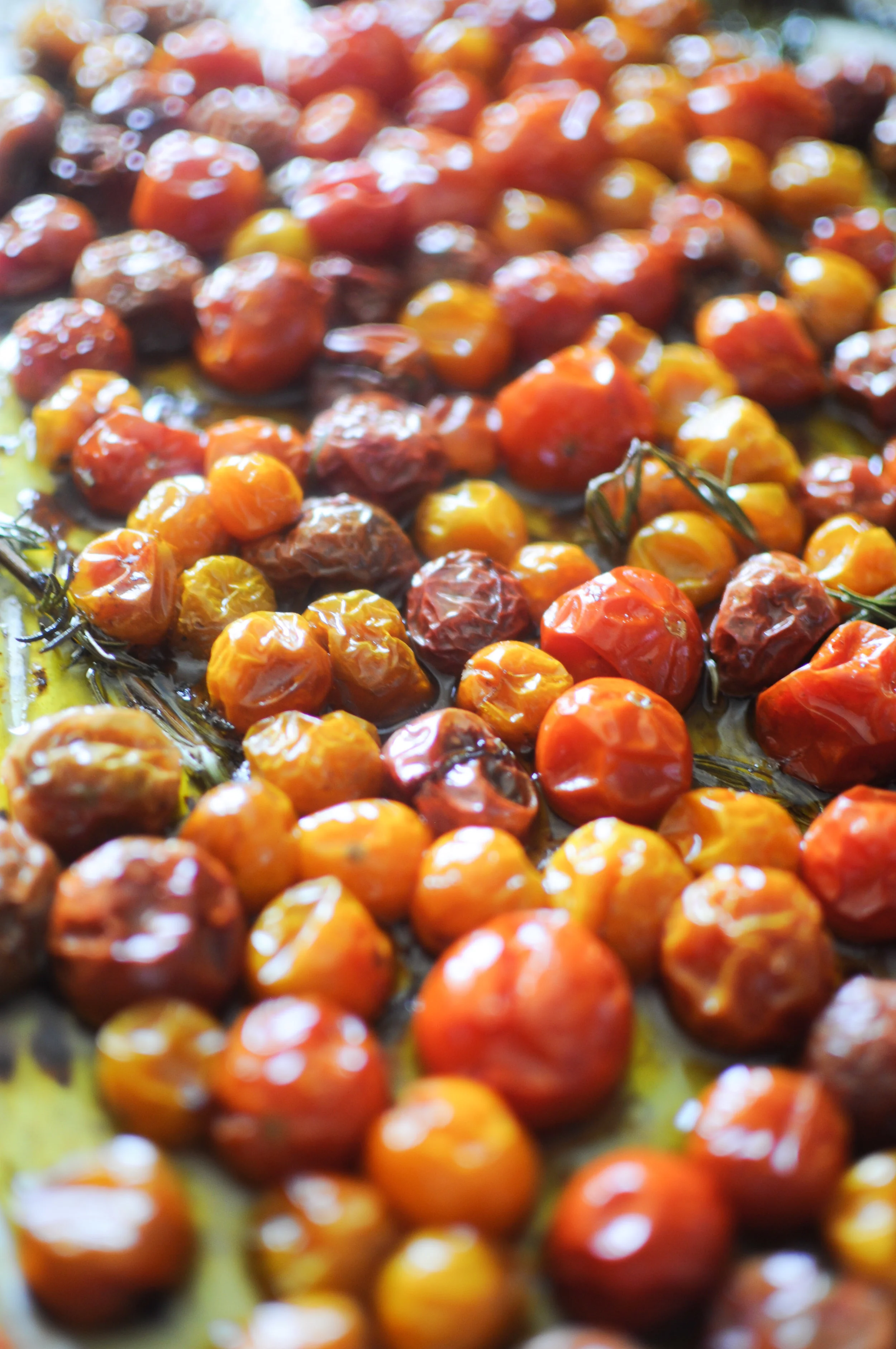 tomatoconfit-8.jpg