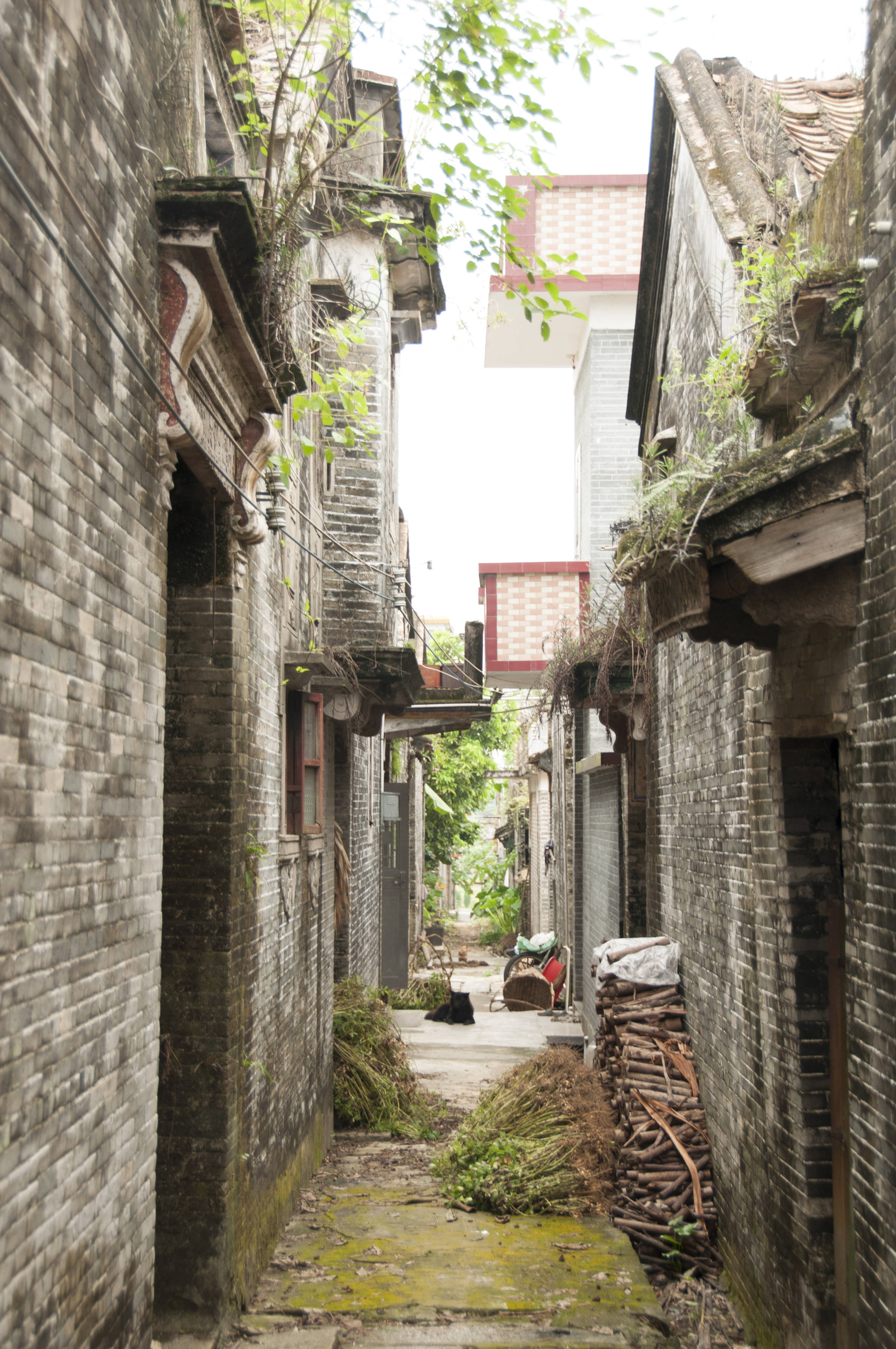 A deserted alleyway in Bok Saa, Toisan