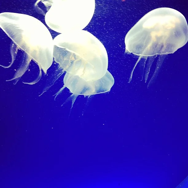2013-06-21_1371834052.jpg