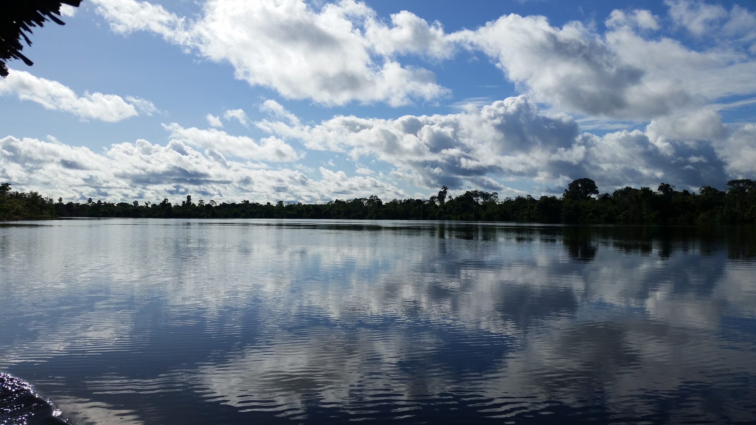 20150510_152913.jpg