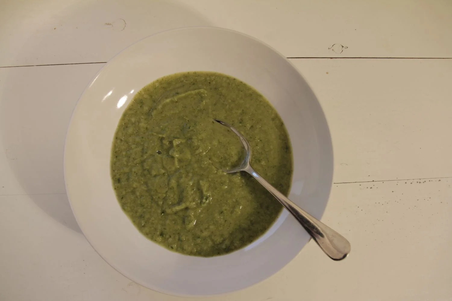 Broccoli Soup for One v1