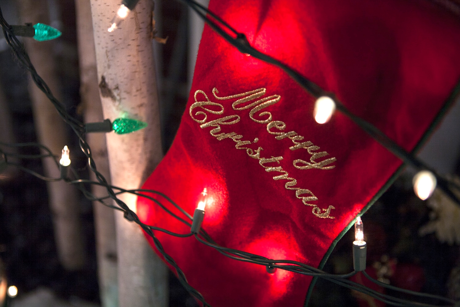 5 Ways to Enjoy the Holidays Even When Your Family is Nuts