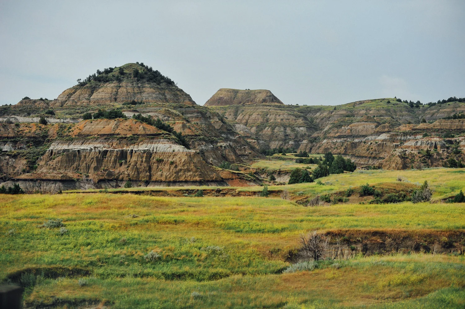 KODAK GOLD 100-2.jpg