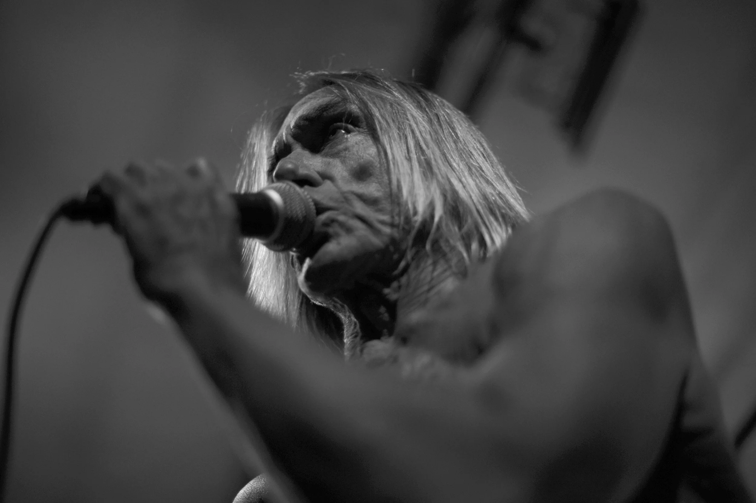 Iggy Pop