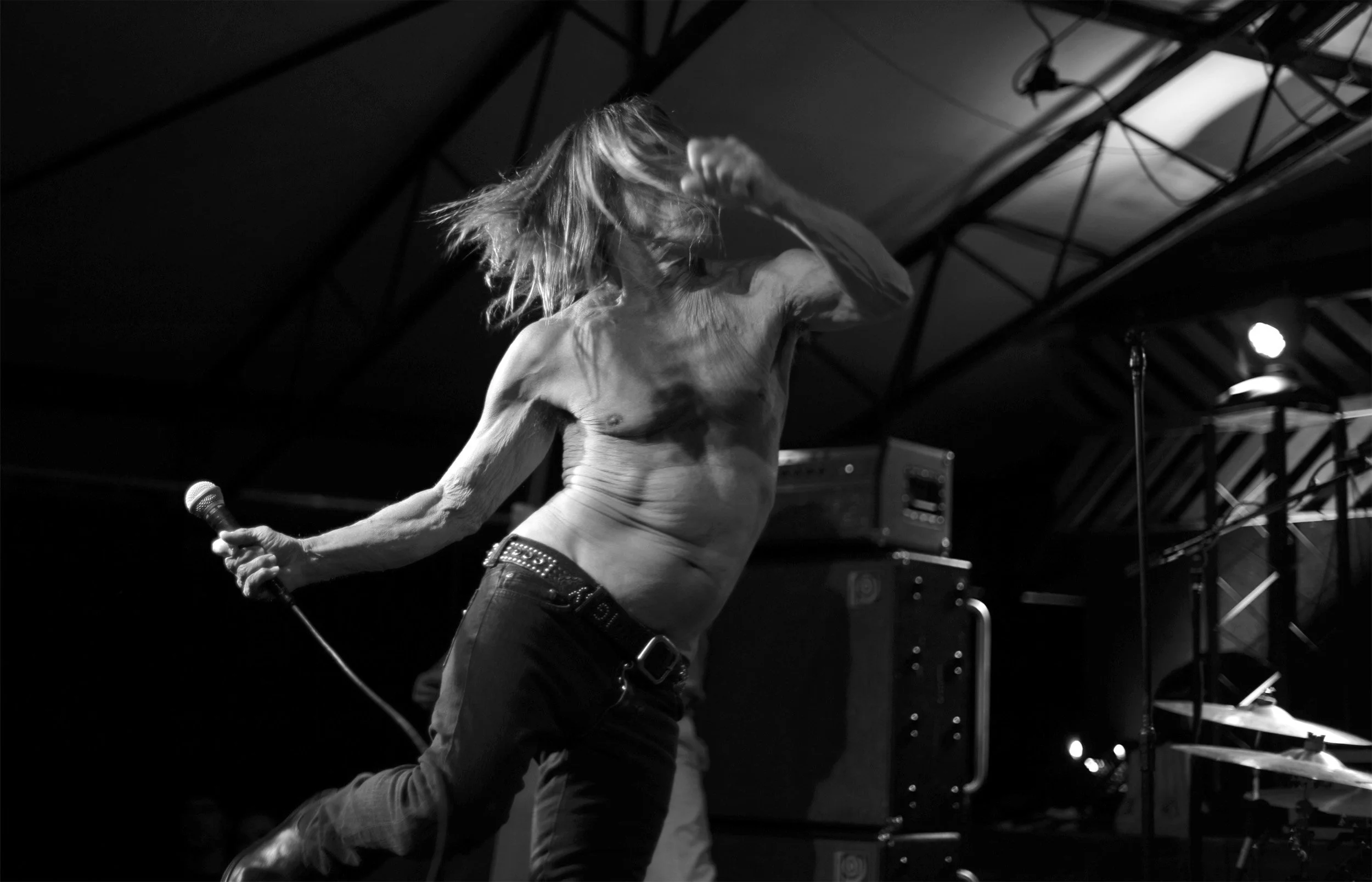 Iggy and the Stooges