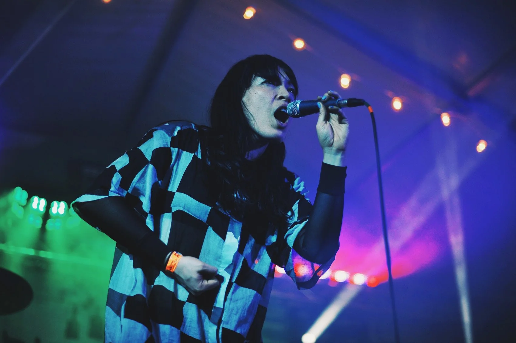 Little Dragon