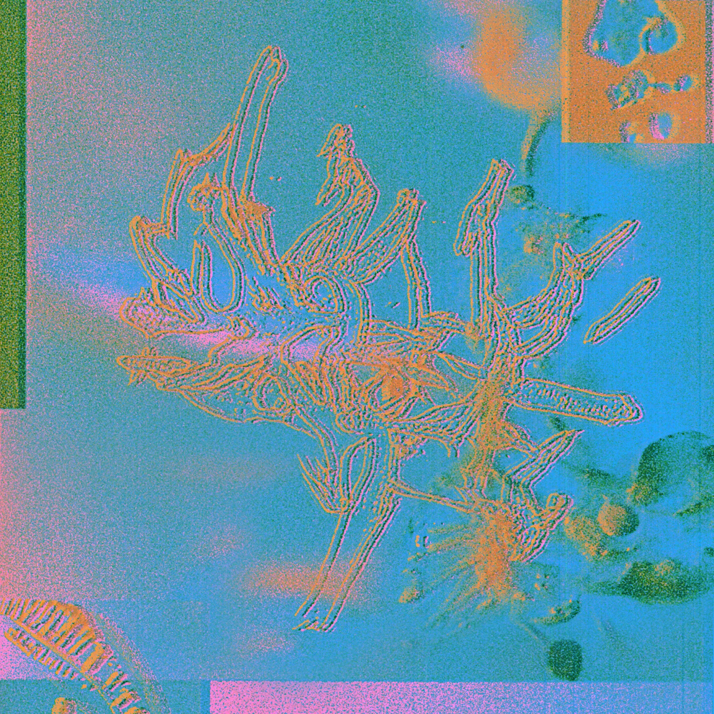 Kin Teal - Ecosystem [3000].jpg