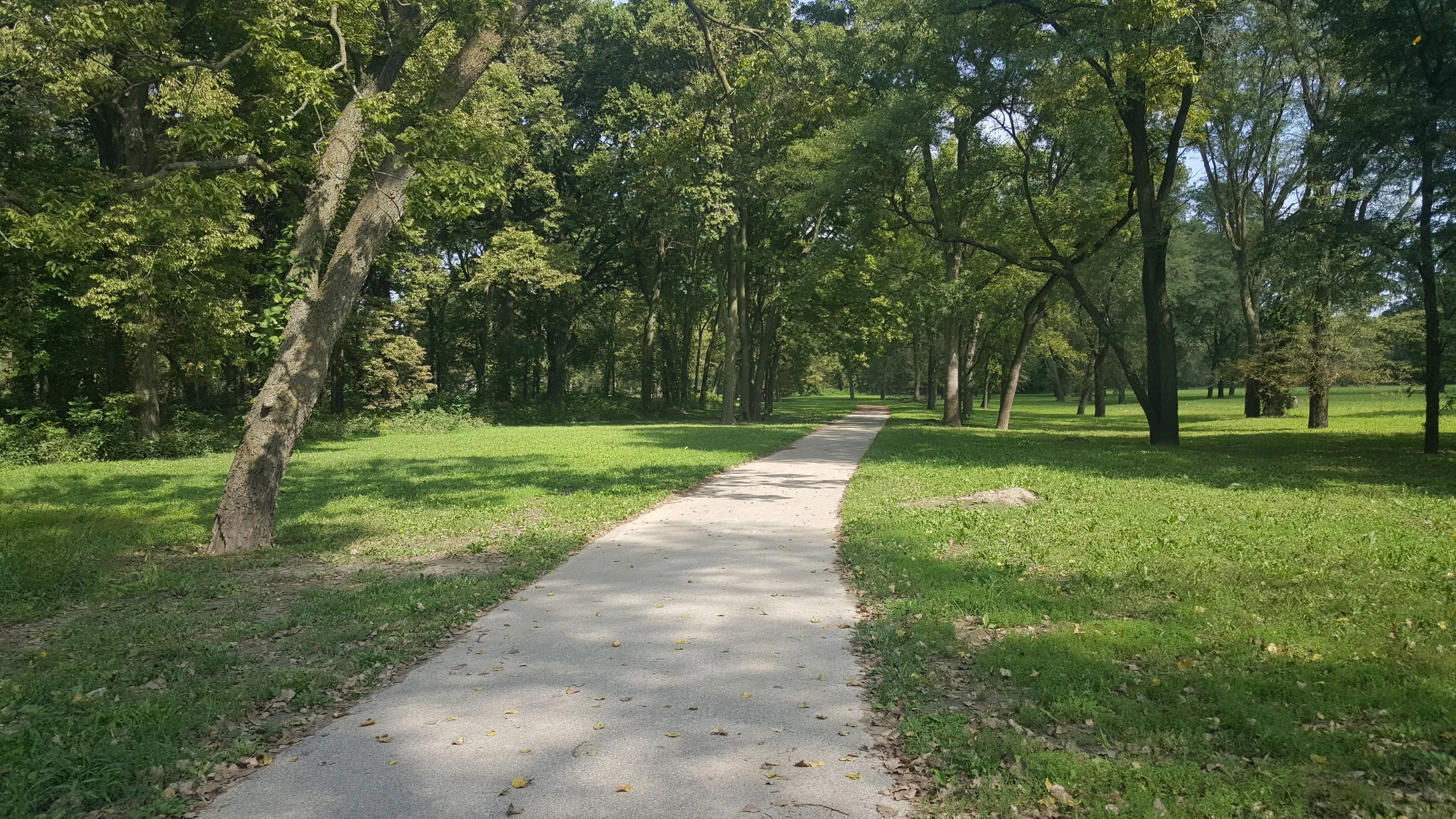 2015-09-03 11.08.43.jpg