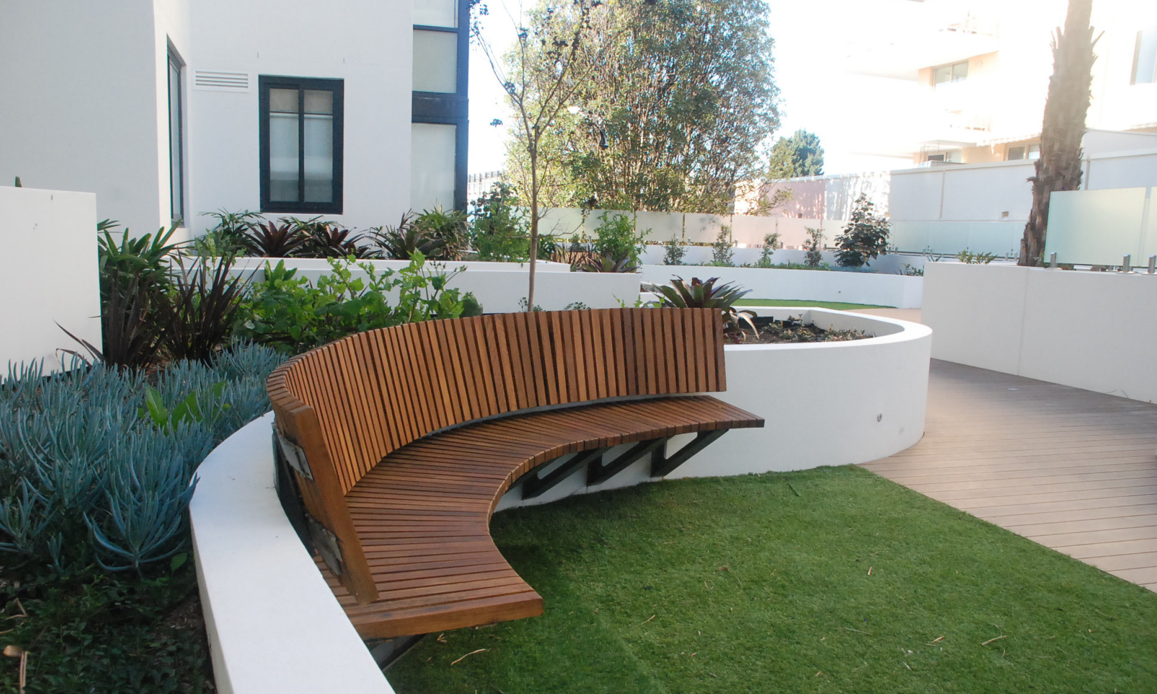 curved timber seat The Place Ashfield